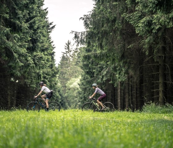 Gravelbiker im Wald, © StädteRegion Aachen