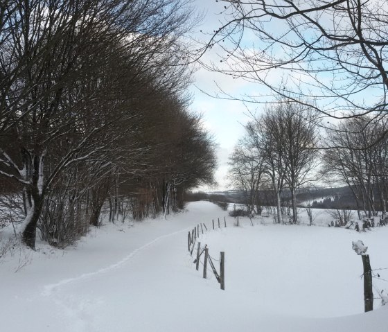 Winterlandschaft Eicherscheidt, © StädteRegion Aachen