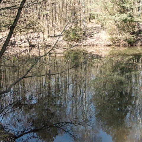 Teich beim Omerbach, © Eifelverein e. V.