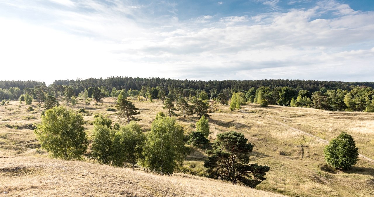 NSG Schlangenberg, © Eifel Tourismus GmbH
