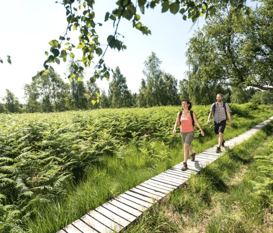 NSG Struffelt, © Eifel Tourismus GmbH