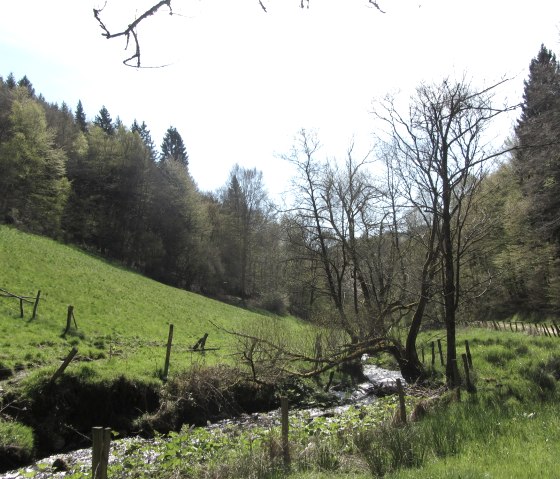 Tiefenbach between Kesternich and Dedenborn, © StädteRegion Aachen