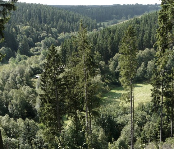 Perlenbachtal, © Bernd Läufer