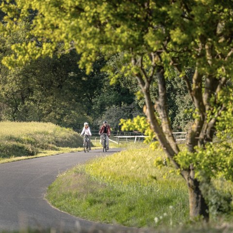RurUferRadweg bei Blens, © Copyright: Grünmetropole e.V.