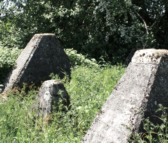 Kalltal-Kelzerbach, © Sascha Schmitz