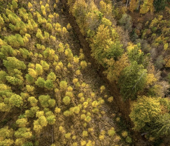 Schrauffweg Püngelbach, © Eifel Tourismus GmbH