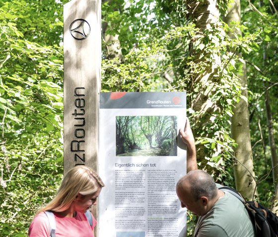 Reinartzkehl im Aachener Wald, © Eifel Tourismus GmbH