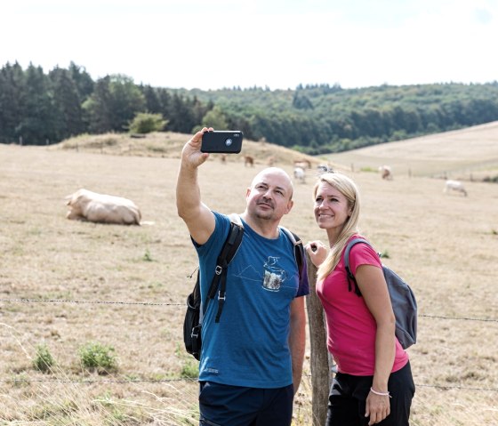 Weiden am Waldrand, © Eifel Tourismus GmbH