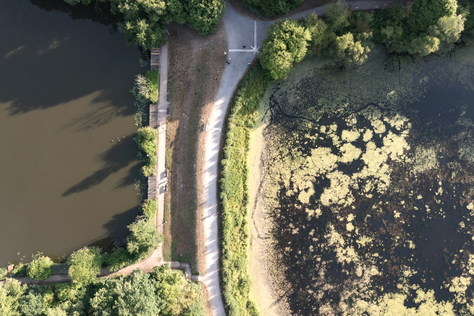 Herzogenrather Weiher, © Eifel Tourismus GmbH; Foto: Tobias Vollmer