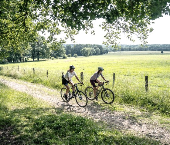 Graveln im Würselener Wald, © StädteRegion Aachen