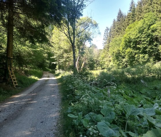 Tiefenbach valley, © Gemeinde Simmerath