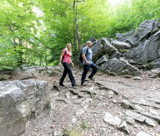 Klauser Wald, © Eifel Tourismus GmbH