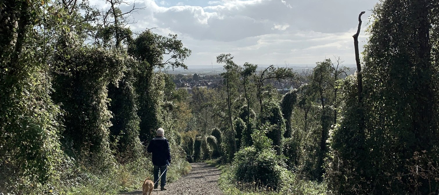 Descent from the slagheap, © StädteRegion Aachen