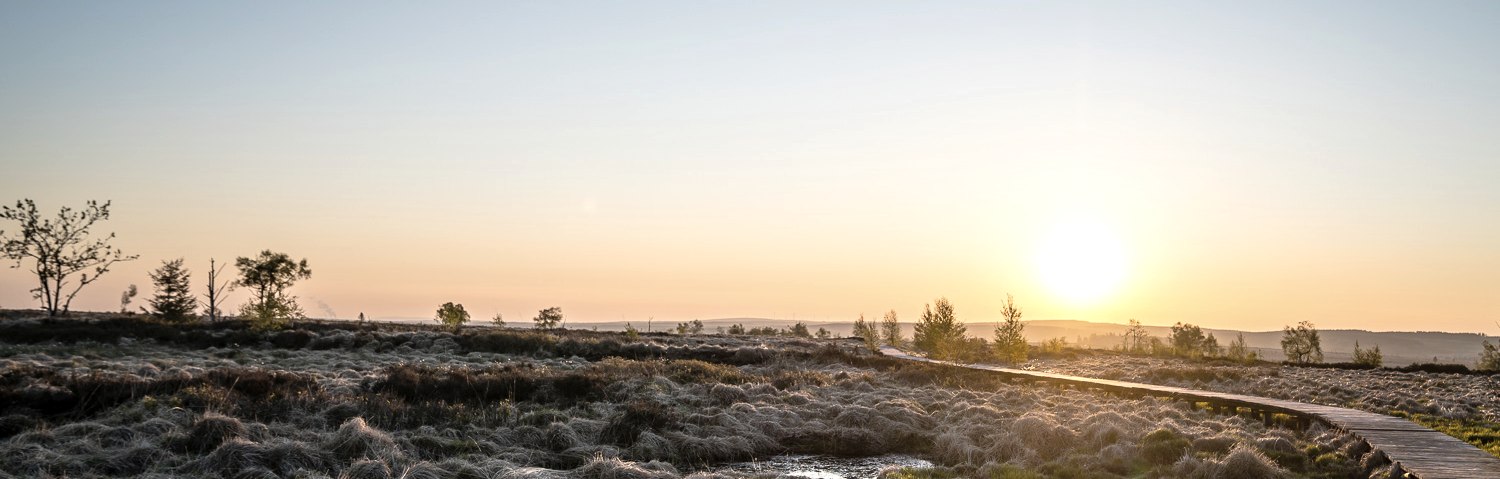 Hohes Venn - Abendstimmung, © Dennis Stratmann