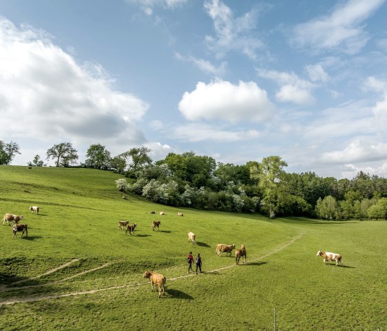 Iterbachtal, © StädteRegion Aachen