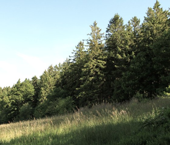 Kalltalsperre und Lönsfelsen, © Rursee-Touristik