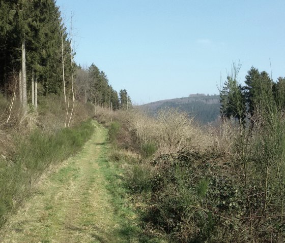 Grasbewachsener Pfad, © StädteRegion Aachen