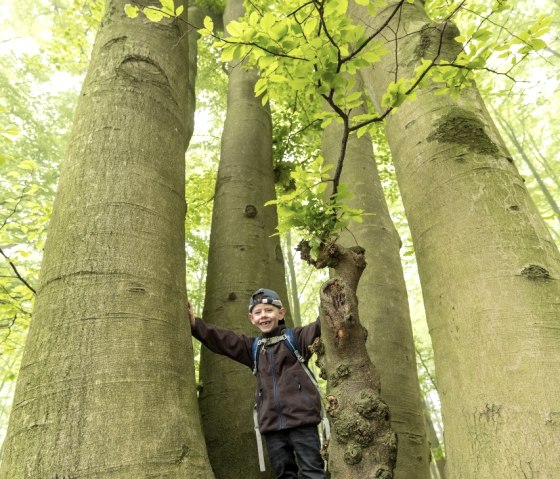 Aachener Wald, © StädteRegion Aachen