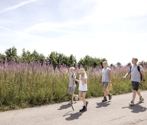 Flurheckenweg, © Eifel Tourismus GmbH