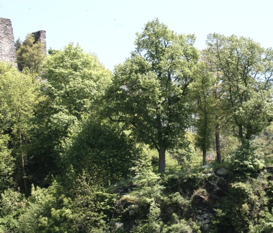 Blick auf den Haller, © Monschau-Touristik