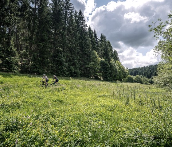 Gravelbiker im Perlenbach- und Furthsbachtal, © StädteRegion Aachen