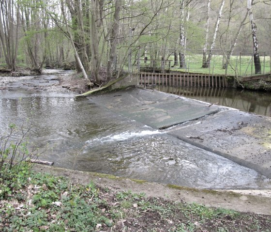 Kalltalweg, © Biologische Station Kreis Düren