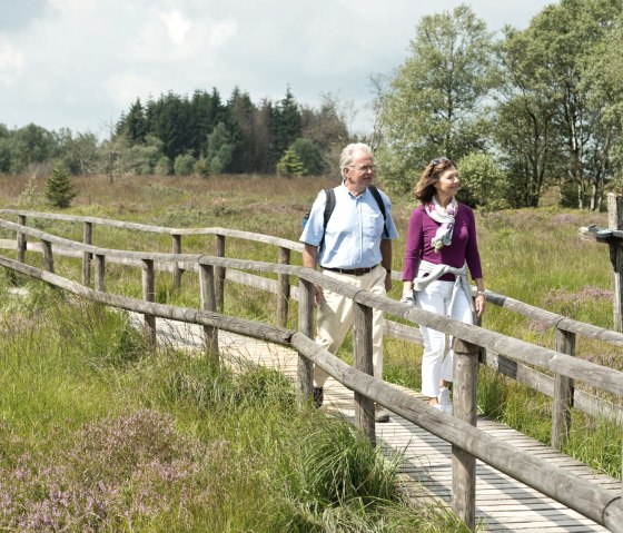 Hohes Venn bei Botrange