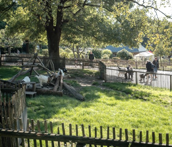 Aachener Tierpark (Euregiozoo), © Städteregion Aachen