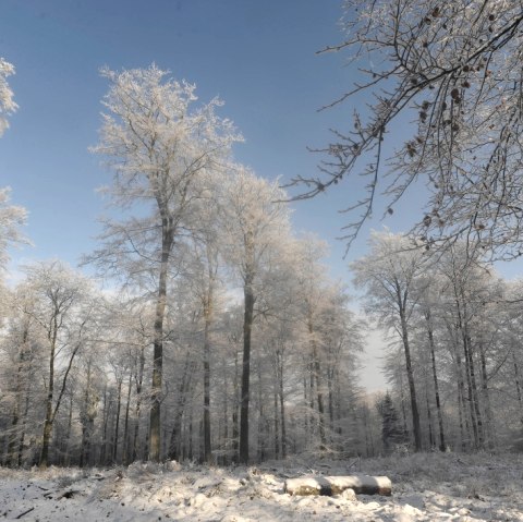 White magic, © Tourismusagentur Ostbelgien