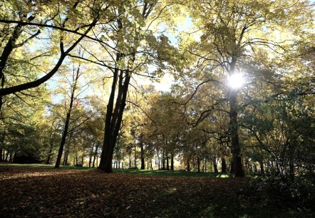 Lousberg, © aachen tourist service e.v.