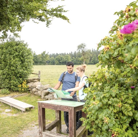 Eifel-Blick Steling, © Eifel Tourismus GmbH, AR-shapefruit AG