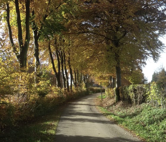 Monschauer Hecken im Herbst, © StädteRegion Aachen