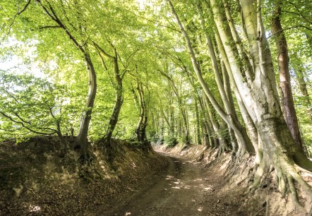 Wurmtal bei Würselen, © StädteRegion Aachen