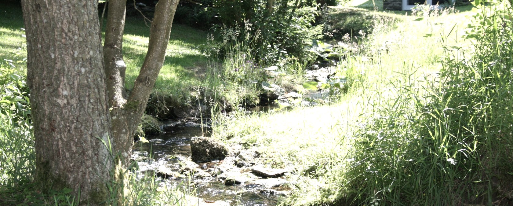 Willow stream valley, © Rursee-Touristik