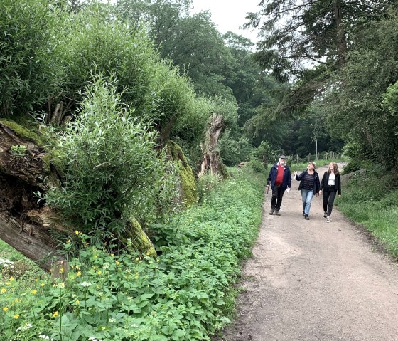 Wandern im Paulinenwäldchen, © StädteRegion Aachen