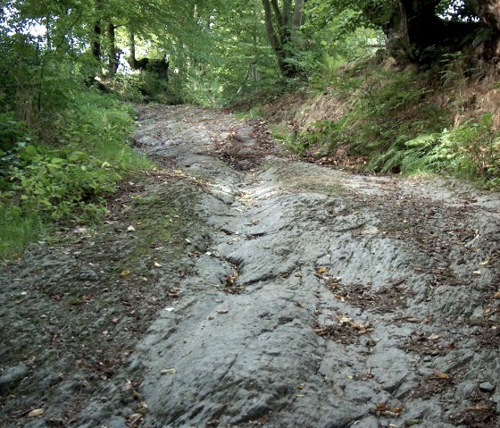 alte Karrenspuren, © StädteRegion Aachen