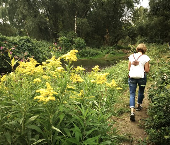 Along the Wurm, © NaturFreunde NRW