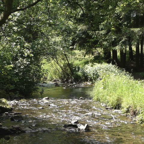 Laufenbach, © Monschau-Touristik