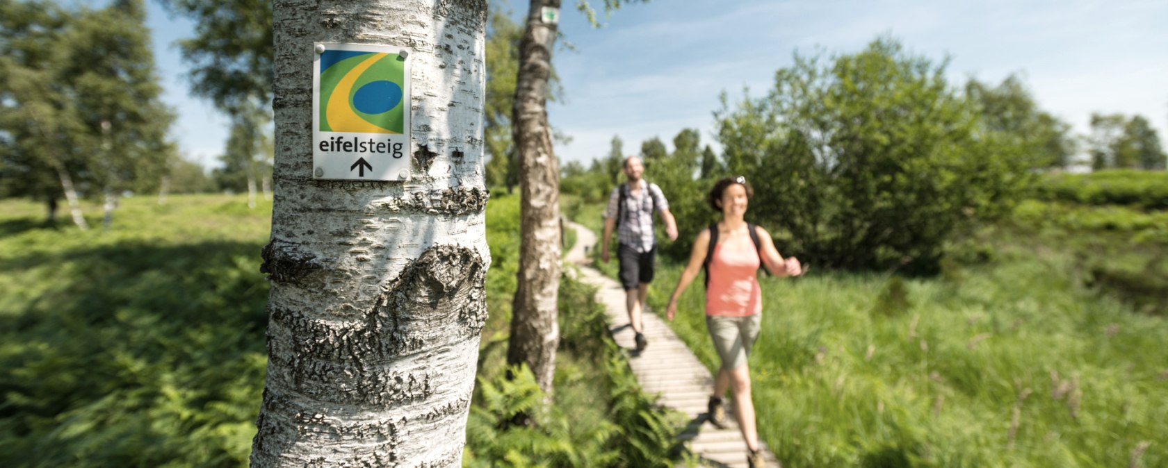 Eifelsteig Struffelt , © Dominik Ketz, Eifel Tourismus GmbH 