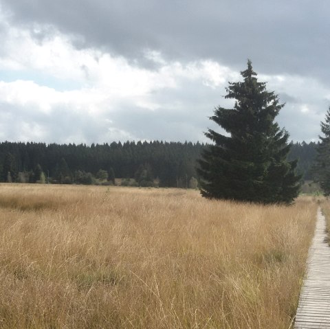 Footbridge in the High Fens, © StädteRegion Aachen