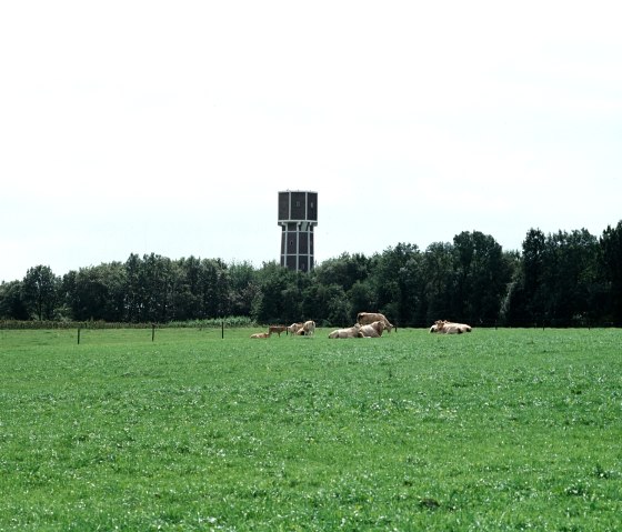 Watertoren Rimburg, © Visit Zuid Limburg