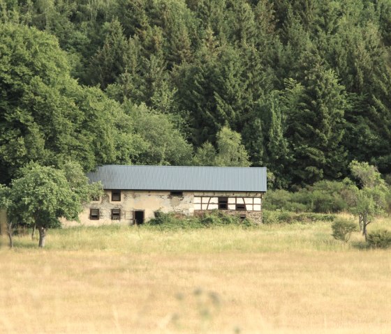 Jägersweiler Weg, © Jessica Jehnen