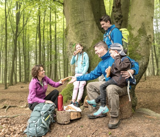 Aachener Wald, © StädteRegion Aachen