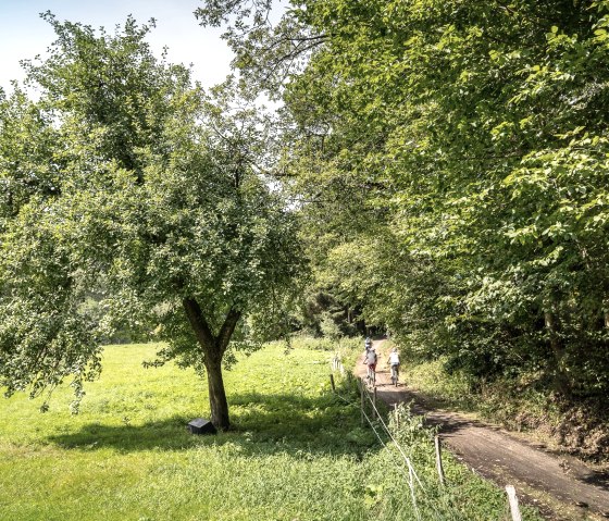 mit dem Rad durchs Rurtal, © StädteRegion Aachen