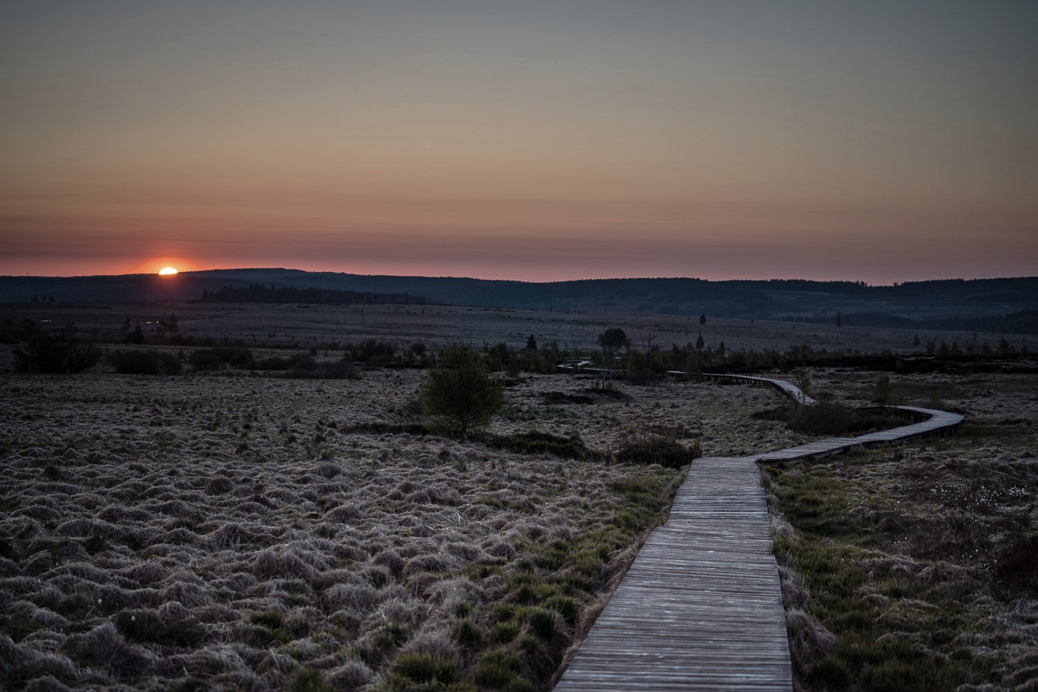 Hohes Venn-Abendstimmung, © Dennis Stratmann