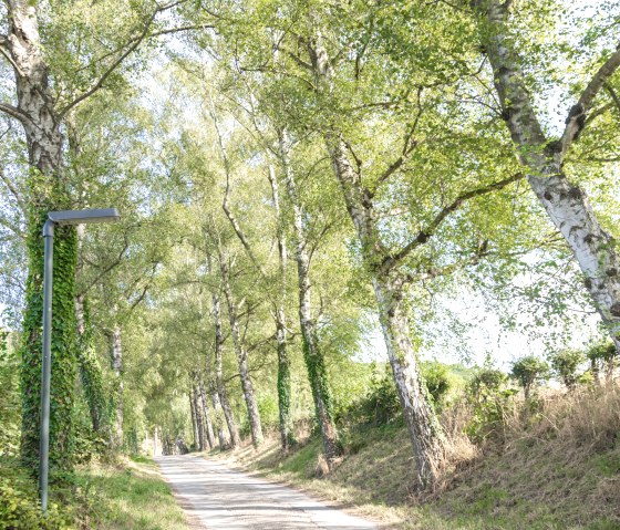 Unteres Broichbachtal, © Eifel Tourismus GmbH