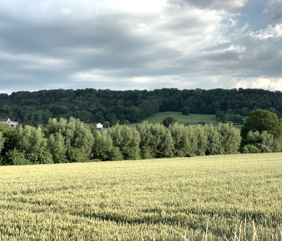Wide views along the way, © StädteRegion Aachen