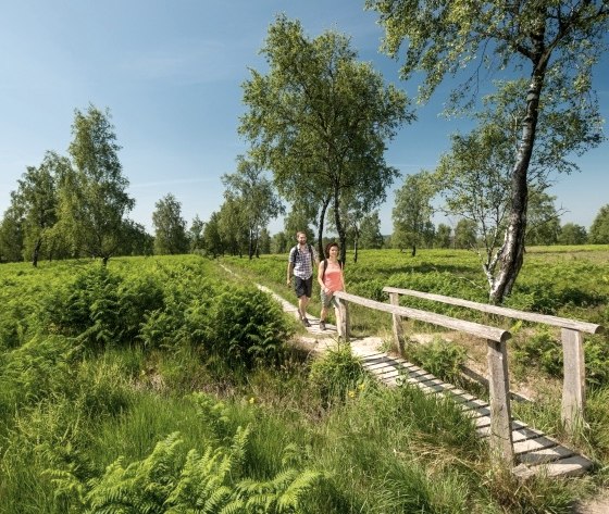 Struffelt Heide, © Eifel Tourismus GmbH