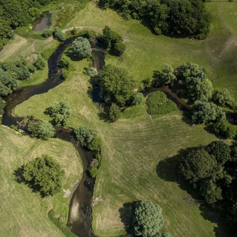 Wurmtal Paulinenwäldchen, © StädteRegion Aachen; Foto: Dominik Ketz