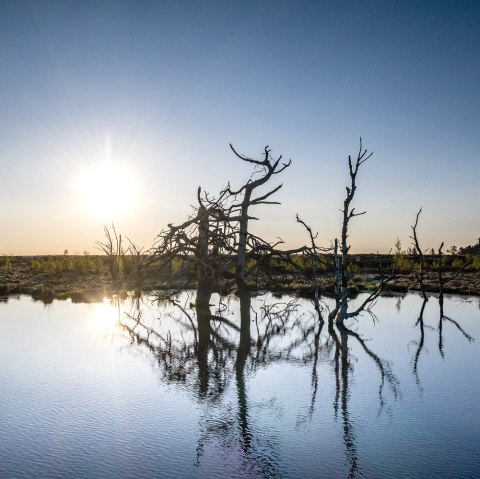 Hohes Venn - Abendstimmung, © Dennis Stratmann